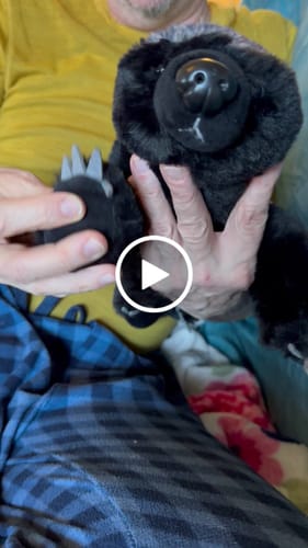 Customer video review of Honey Badger Soft Stuffed Plush Toy