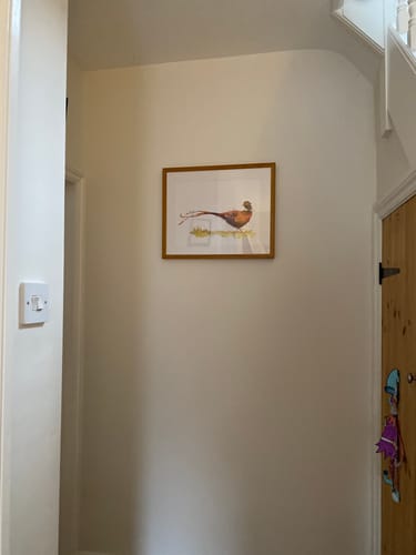Customer photo review of Pleasant Pheasant Framed Art Print