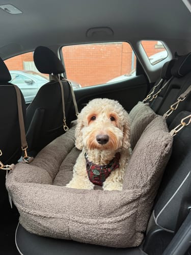 Customer photo review of The XL Cosy Car Seat