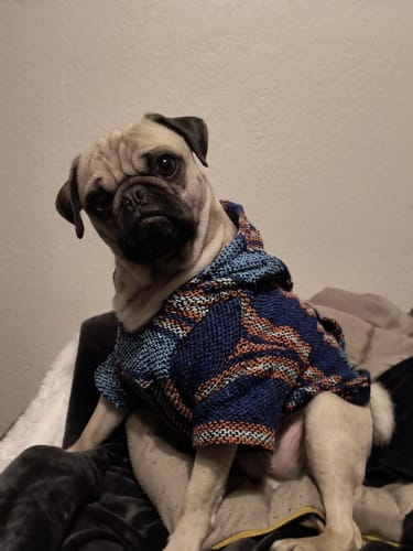 Customer photo review of Playa Poncho – Mystery Color (Bella, Charlie, or Fun Edition)