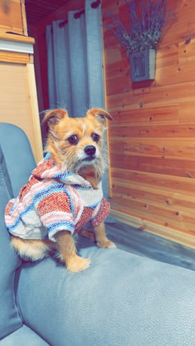 Customer photo review of Playa Poncho – Salmon