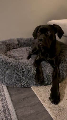 Customer photo review of CalmBed - Motverkar stress & hjälper mot ångest