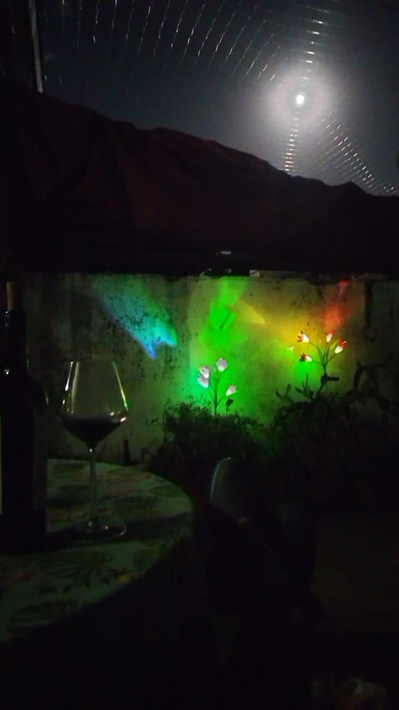 Customer photo review of Luces Decorativas Tulipan para Jardin con Panel Solar
