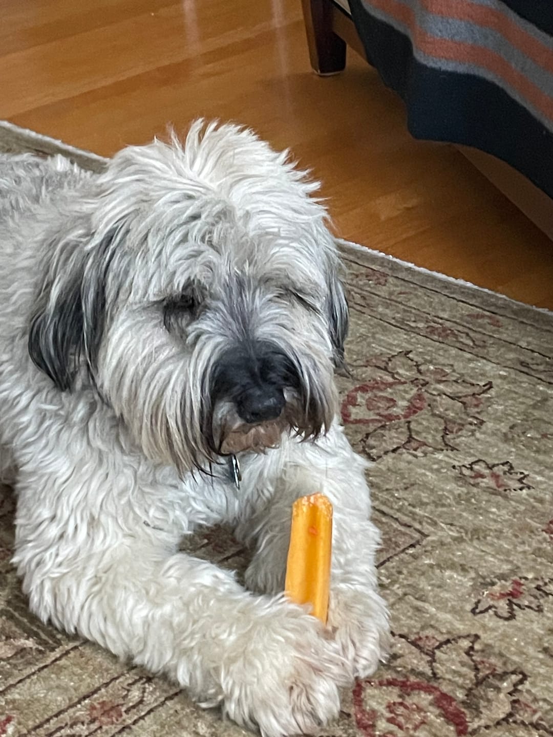 Customer photo review of Himalayan Yak Chew (SMALL)