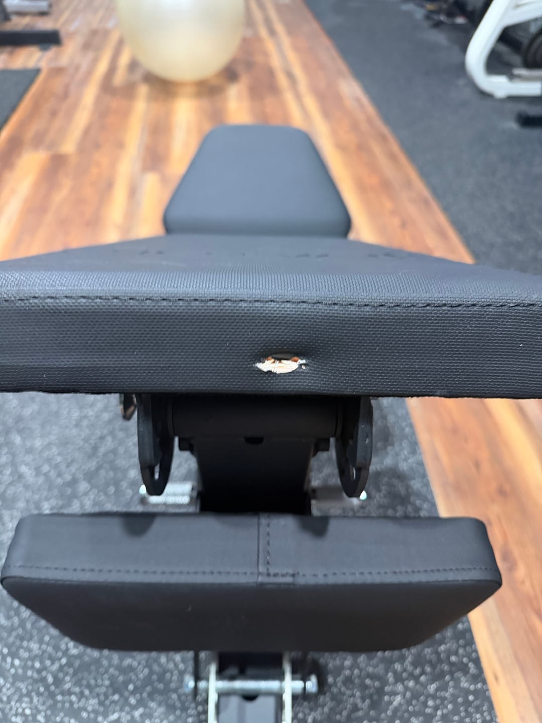 Customer photo review of BASTET™ 2.0 Adjustable FID Bench
