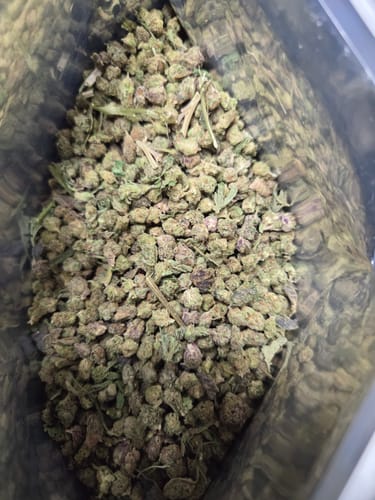 Customer photo review of Bulk Indoor THCA Smalls