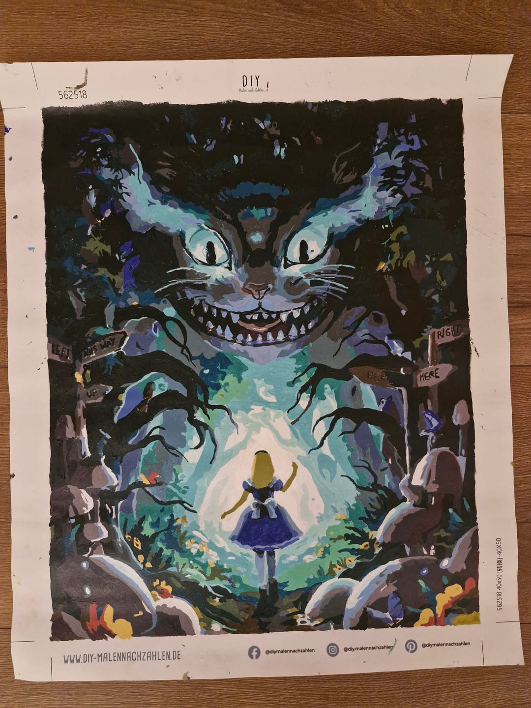 Customer photo review of Malen nach Zahlen - Das Wunderland betreten  - by jojoesart
