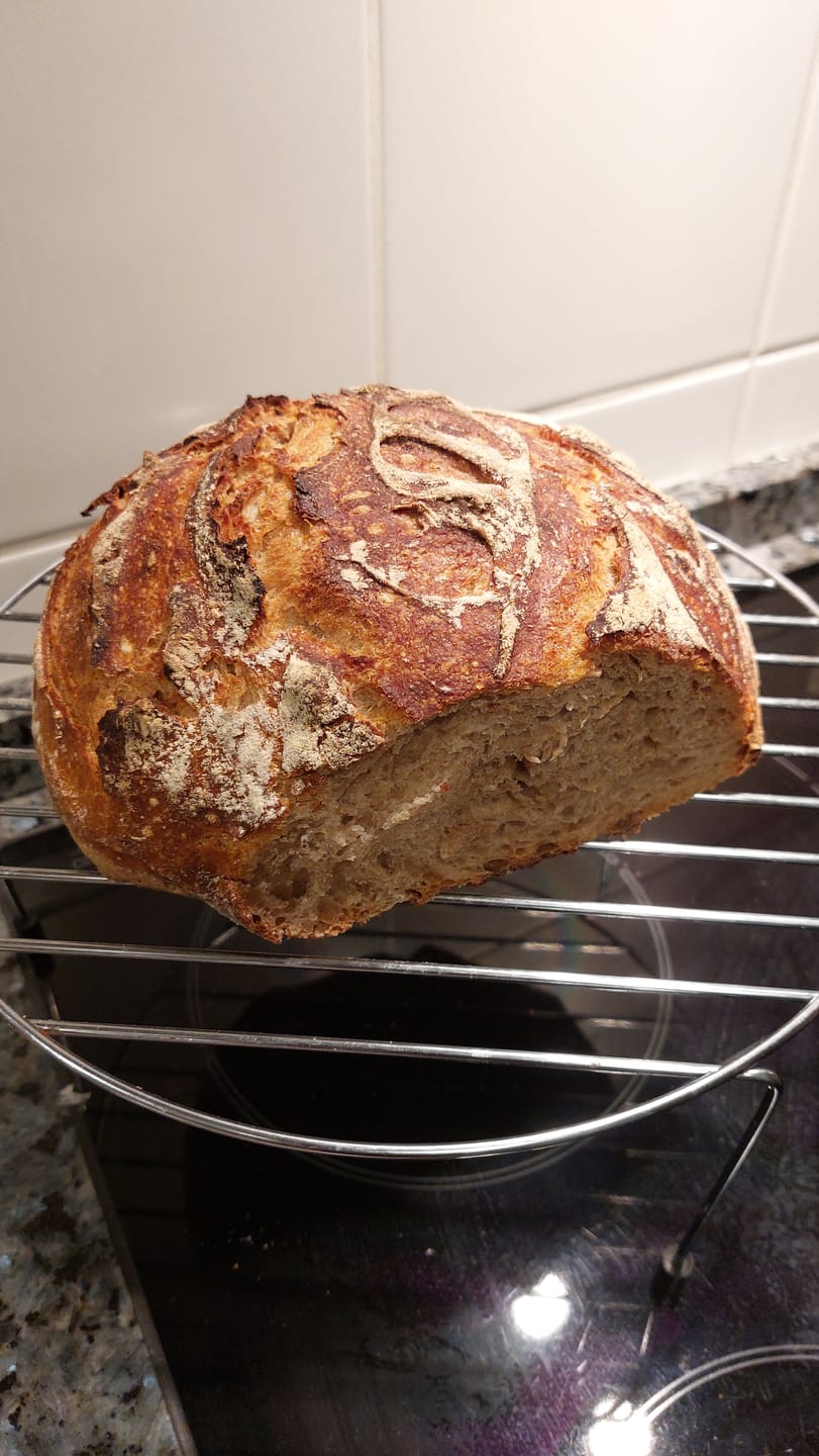 Customer photo review of BIO Backfreude Sauerteig-Kit: Anstellgut & Knusperrezepte (150g)