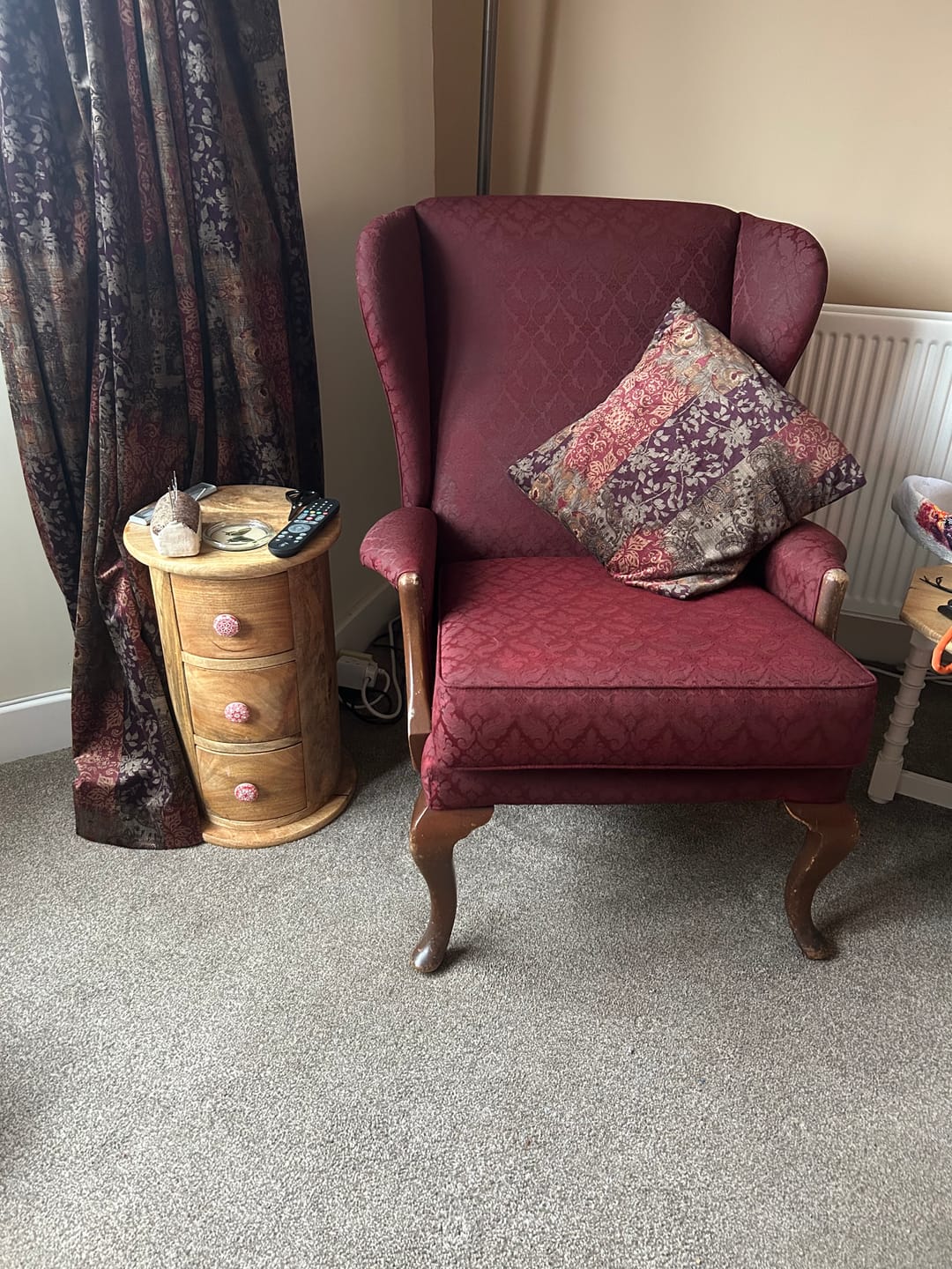 Customer photo review of Fabric Paint -- Maroon