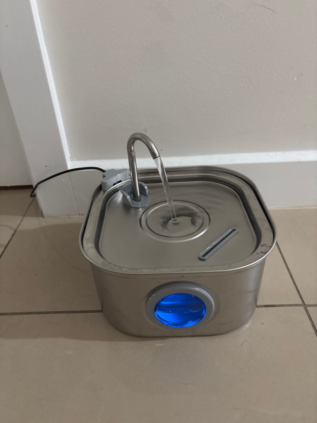 Customer photo review of Whisker Collective Drinking Fountain