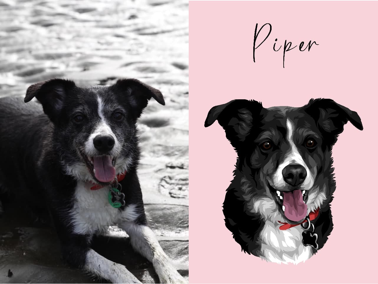 Customer photo review of Pet Portrait