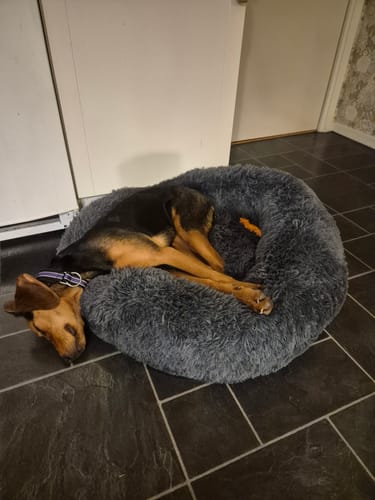 Customer photo review of CalmBed - Motverkar stress & hjälper mot ångest