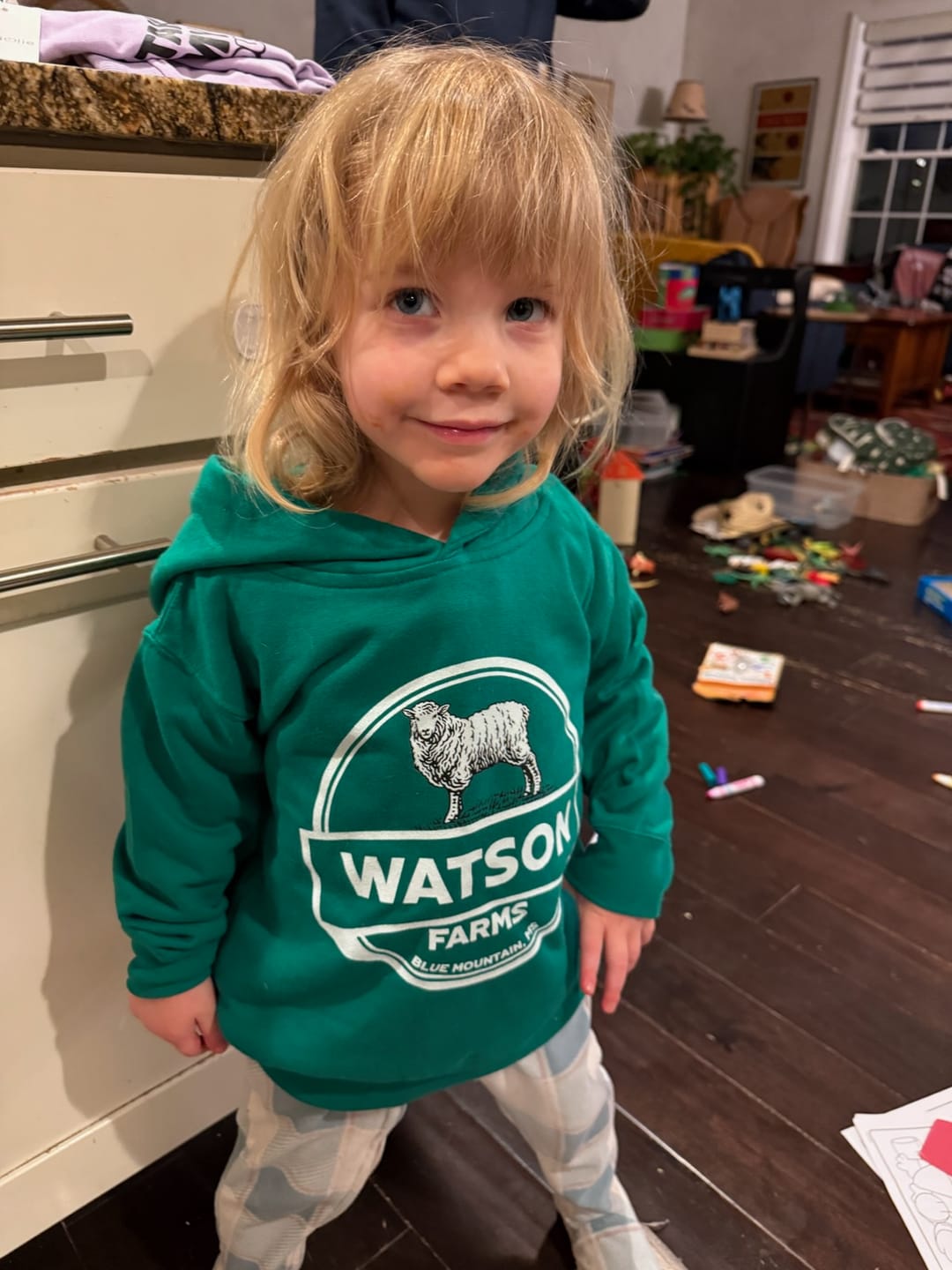 Customer photo review of SHEEP FARM CUSTOM TODDLER HOODIE S1