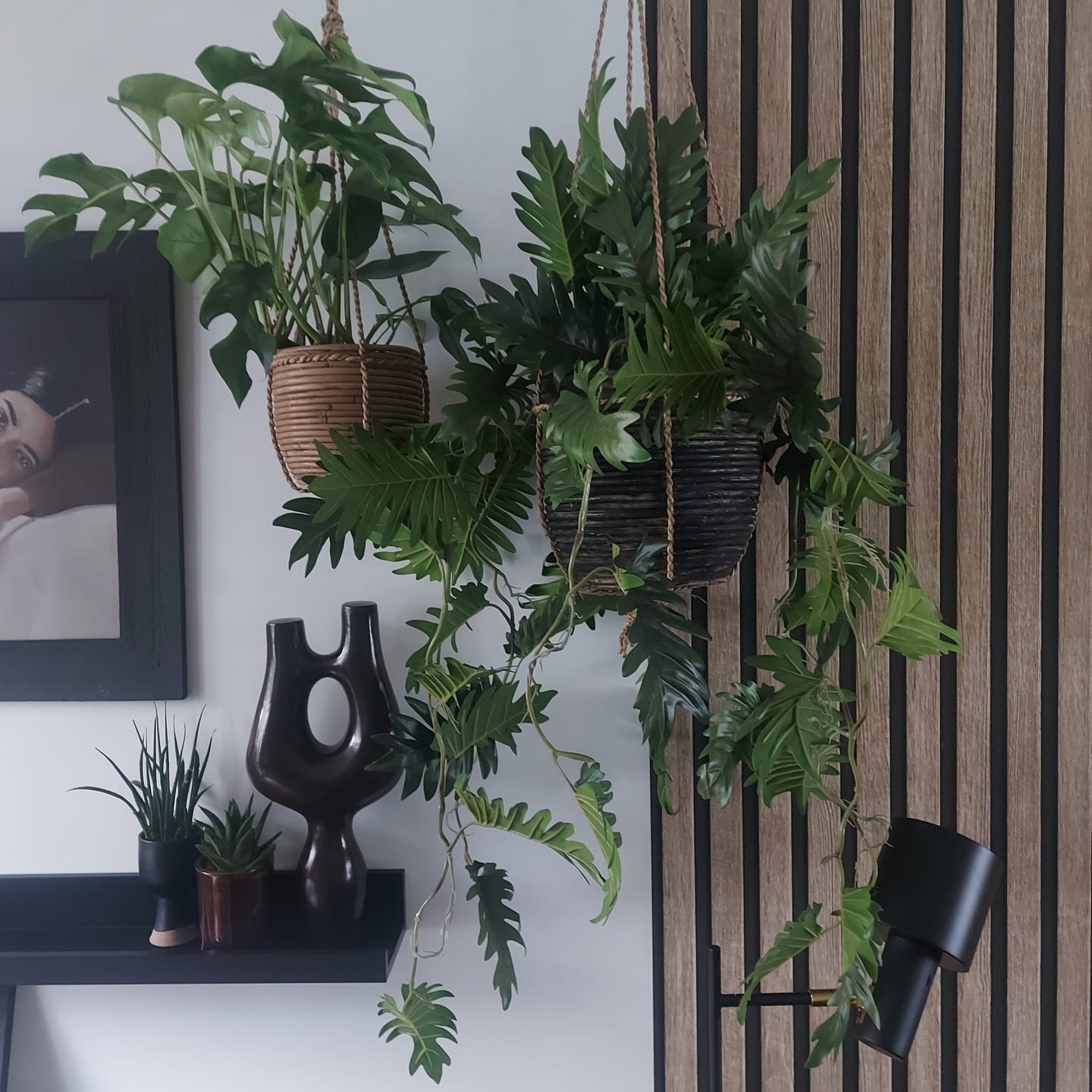 Customer photo review of Philodendron Kunst Hangplant 95cm