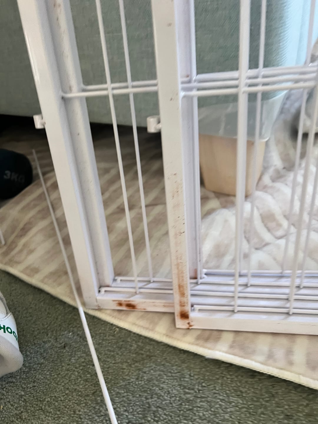 Customer photo review of 8 Panel Dog Playpen White