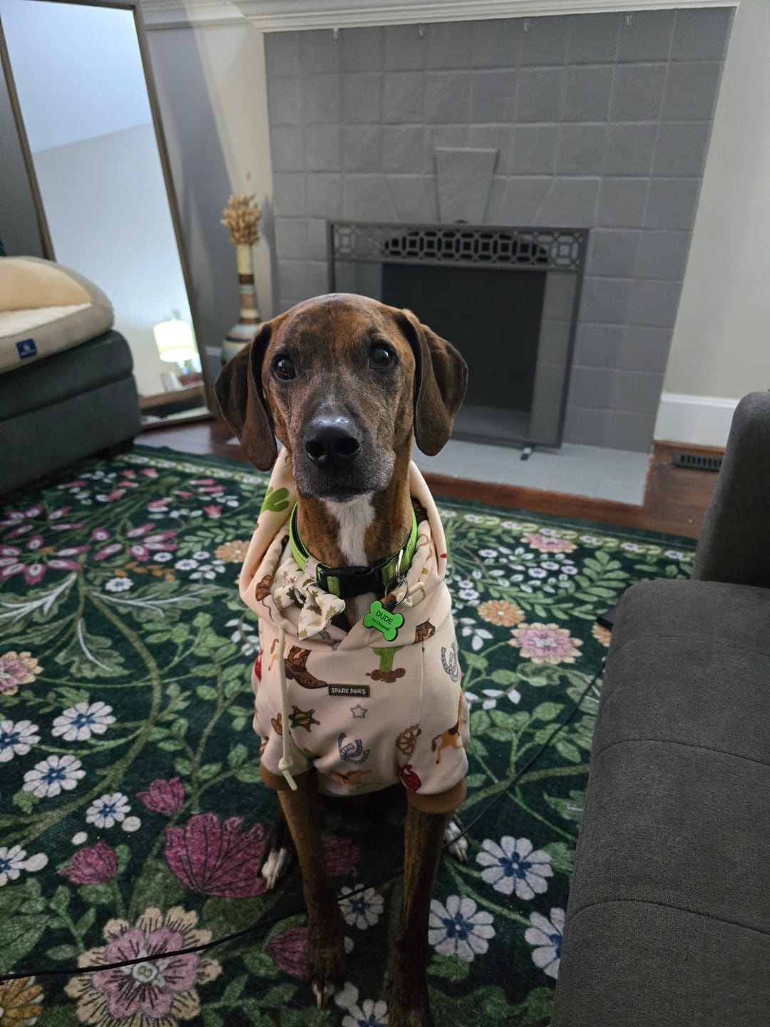 Customer photo review of Rodeo Dog Hoodie