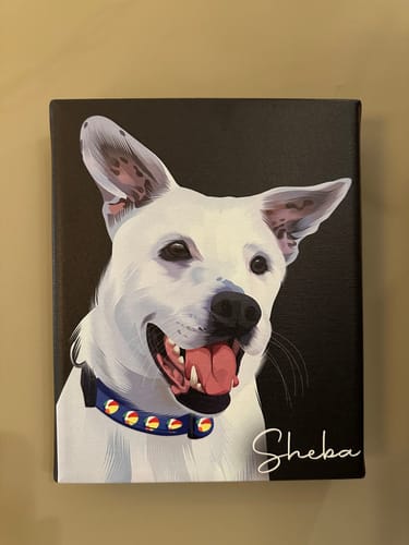 Customer photo review of Pet Art Canvas Wrap