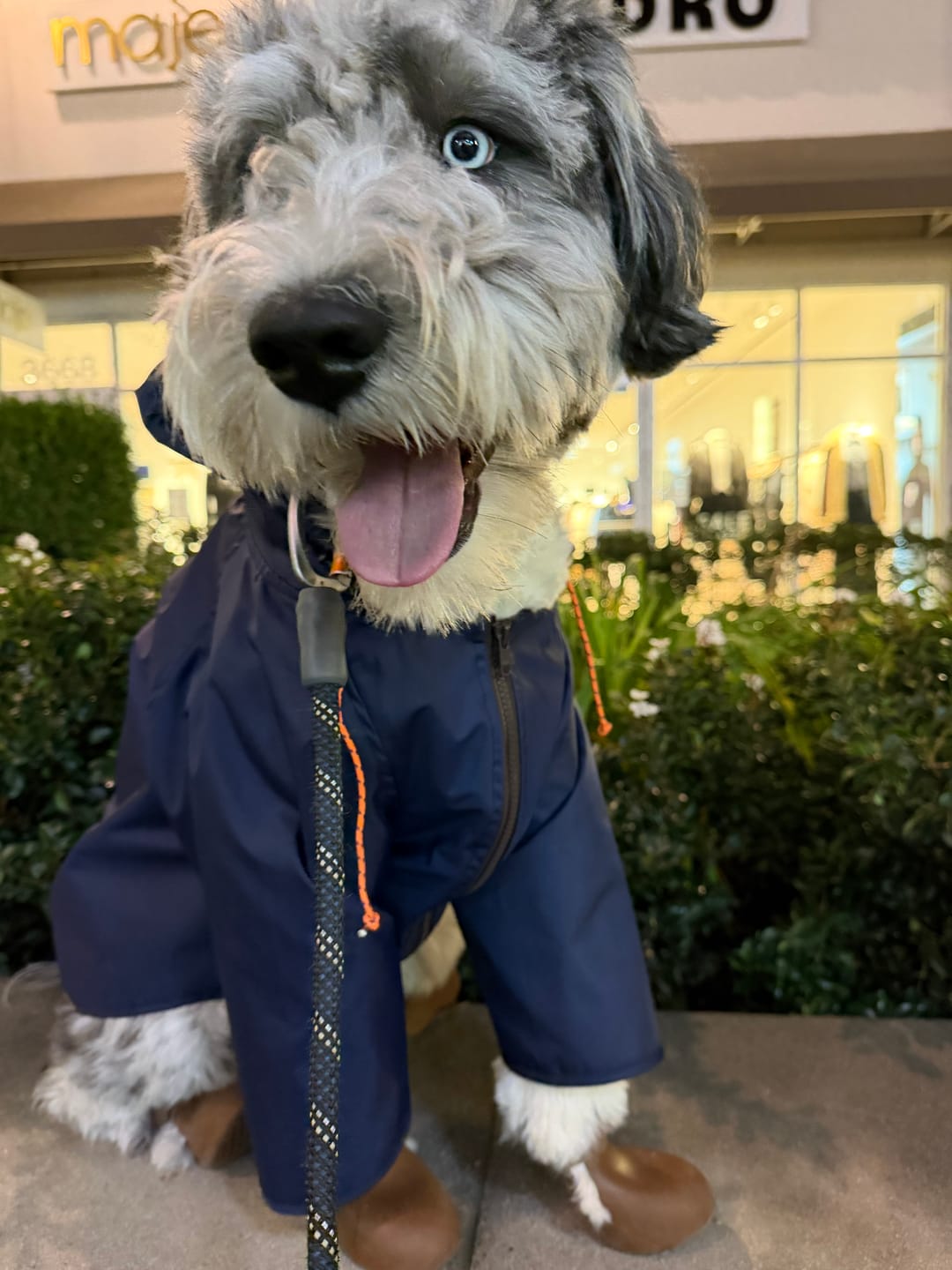 Customer photo review of Nylon Rainbreaker