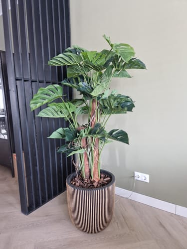 Customer photo review of Monstera Kunstplant 120cm