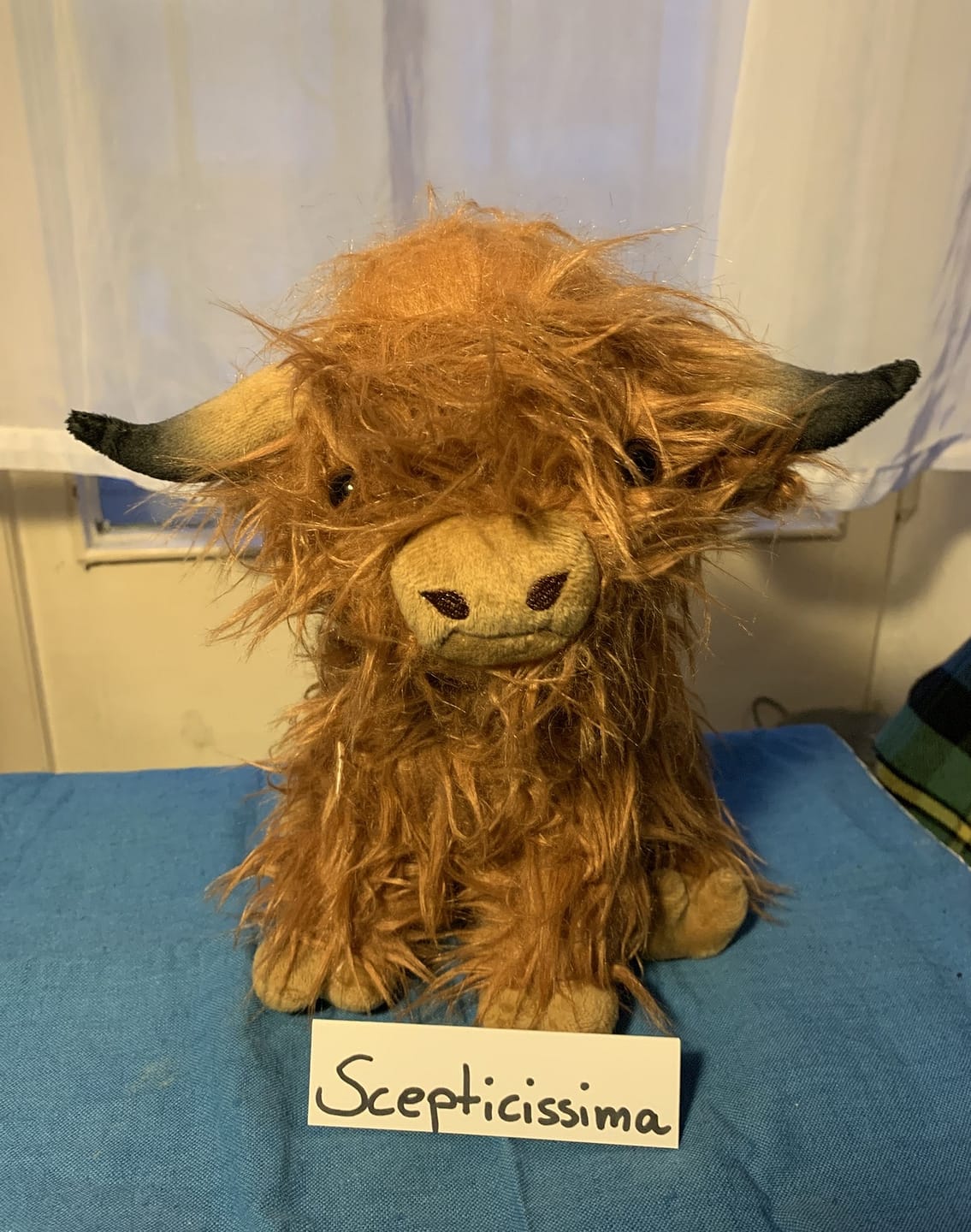 Customer photo review of Scottish Highland Cow Soft Stuffed Plush Toy