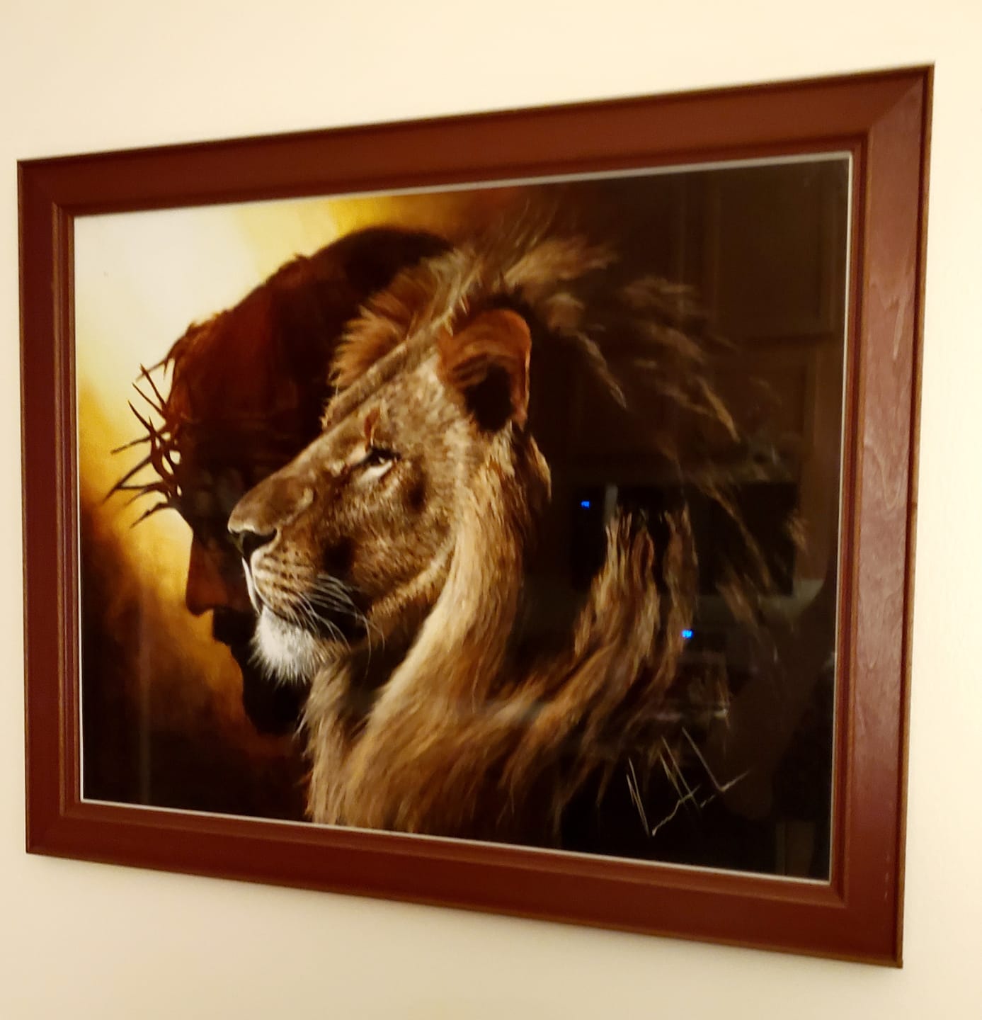 Customer photo review of The Lion of Judah