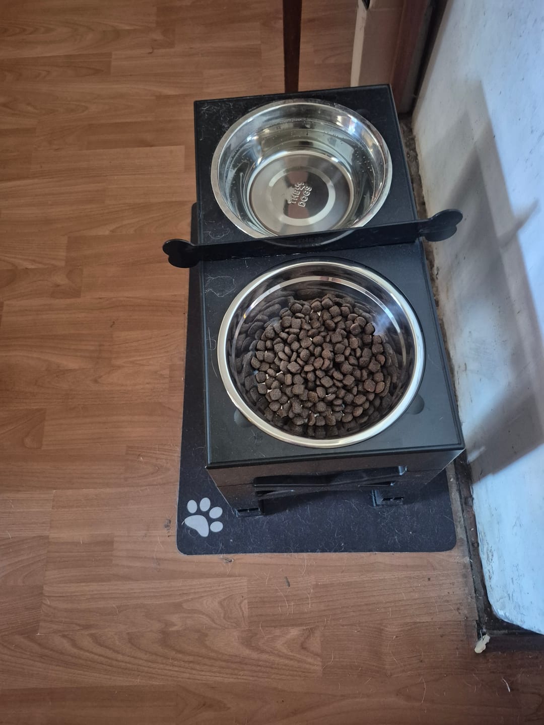 Customer photo review of Comedero Elevado THE DOGS Postura correcta en cada comida