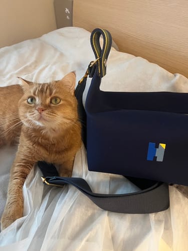 Customer photo review of With Me for ブリッドアブラックGM ゴールド金具