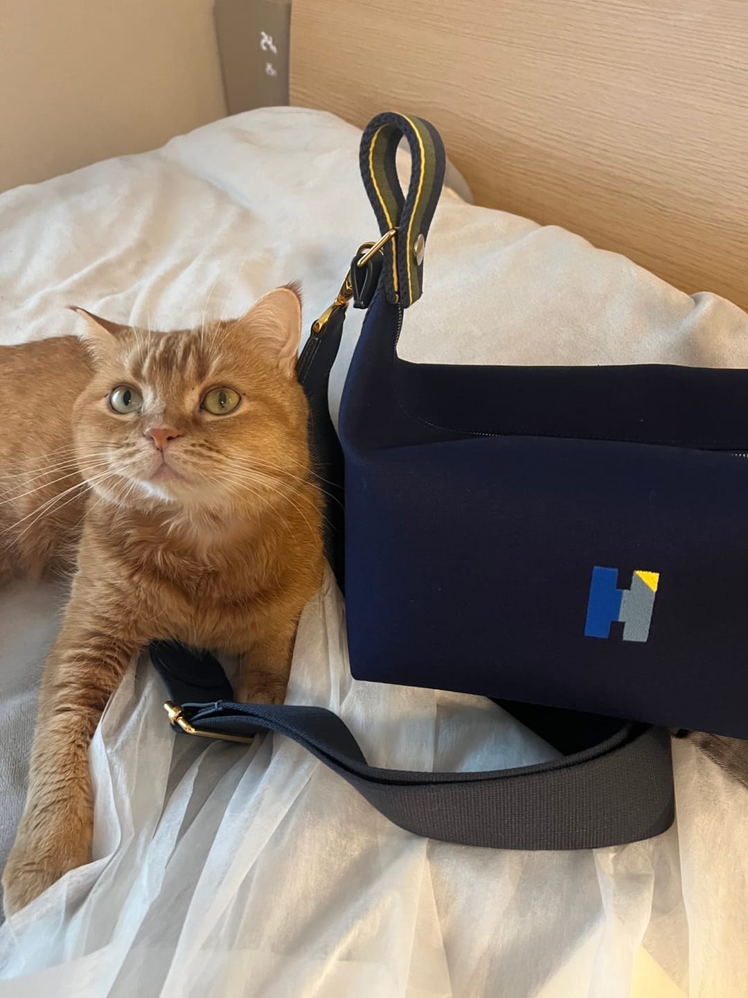 Customer photo review of With Me for ブリッドアブラックGM ゴールド金具