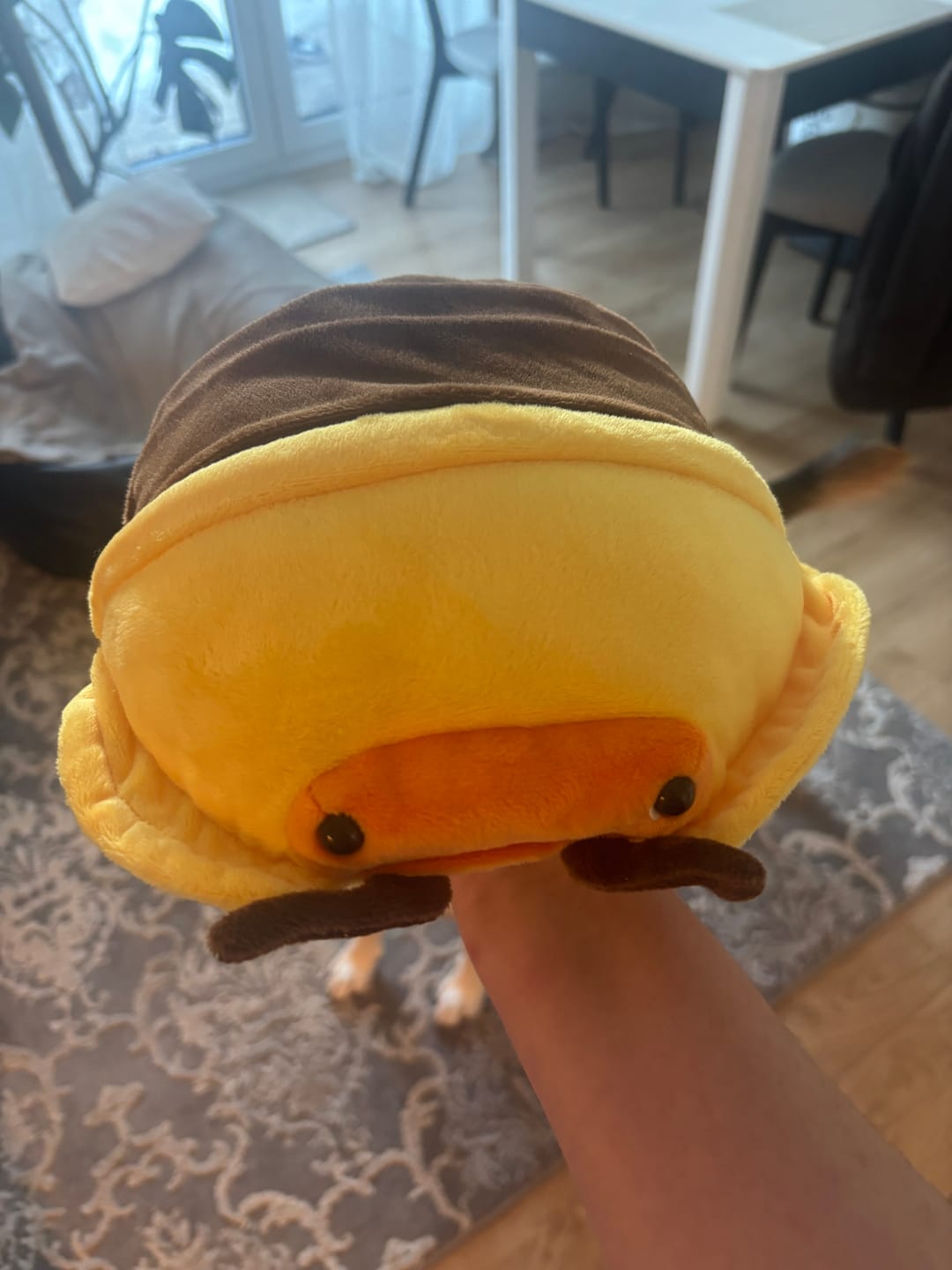 Customer photo review of Roly-poly Bug Soft Stuffed Plush Toy