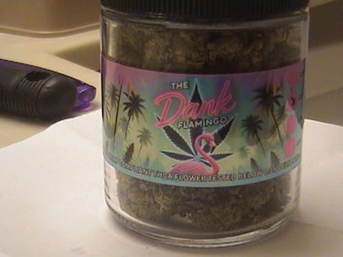 Customer photo review of Dank Gelato Trim THCA Flower