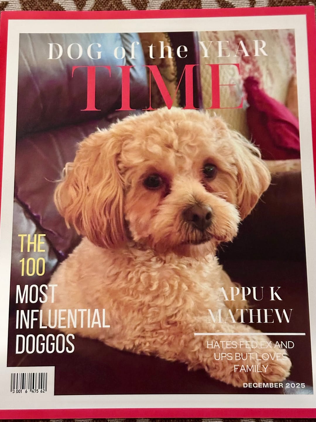 Customer photo review of Pet Portrait Magazine Cover