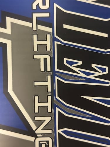 Customer photo review of DTF Transfers Gangsheet Builder