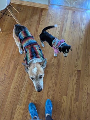 Customer photo review of Free & Easy Return or Exchange Coverage + Package Protection