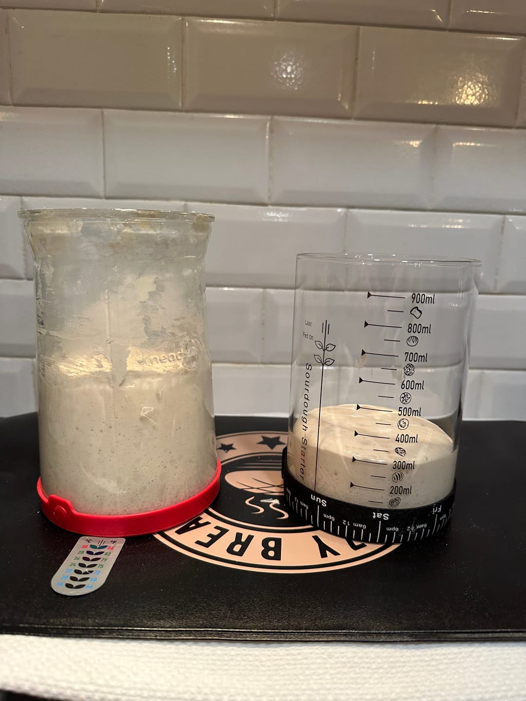 Customer photo review of Sourdough Starter Survival Guide | A Clear, Beginner-Friendly System for Feeding & Maintaining a Healthy Starter