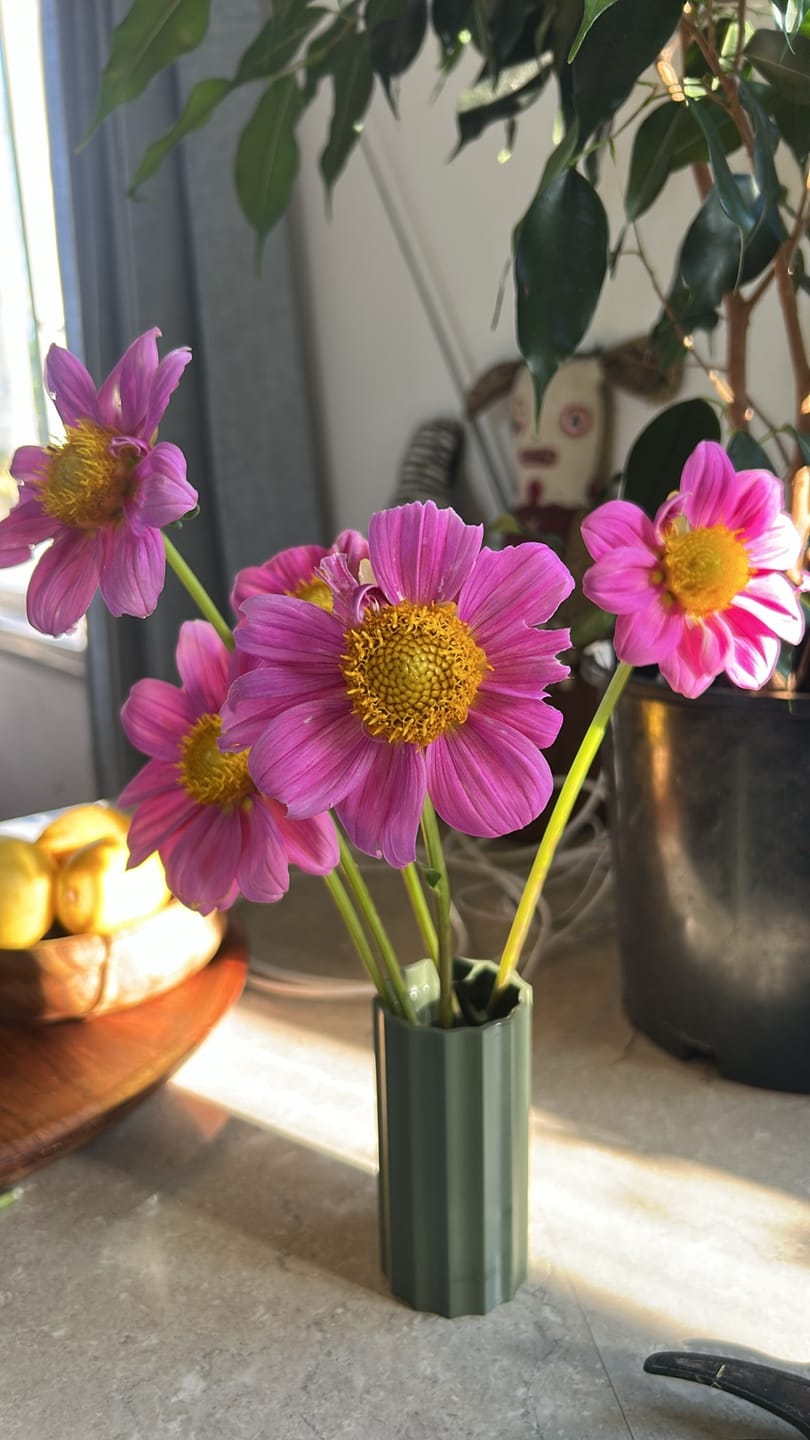 Customer photo review of Mini Millie