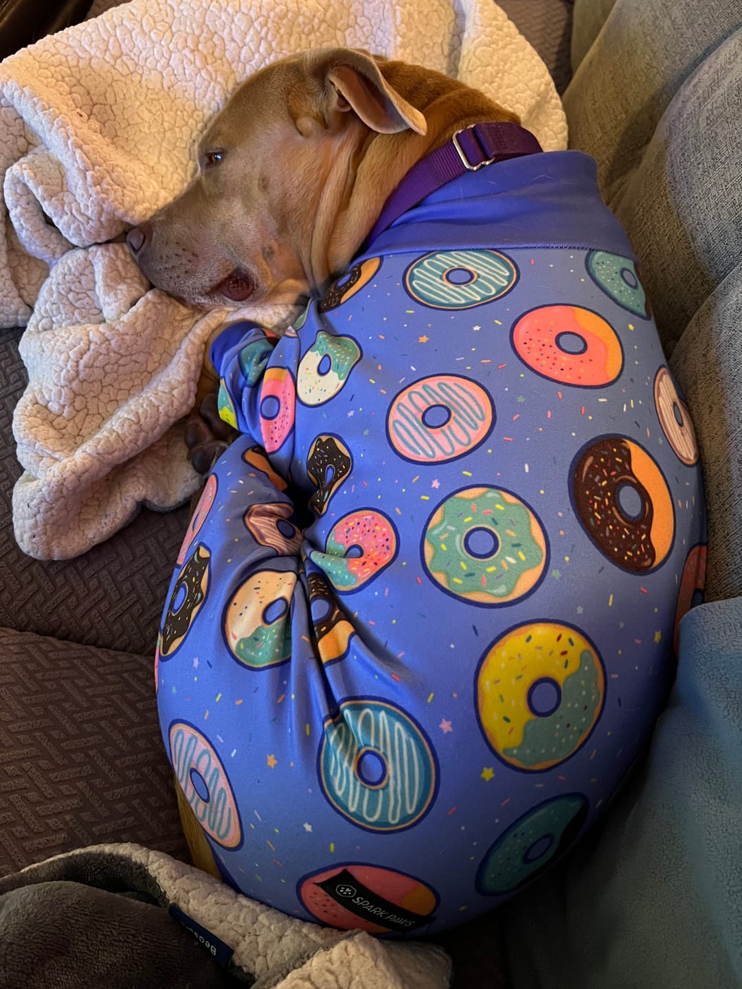 Customer photo review of Dog Pajama - Donuts