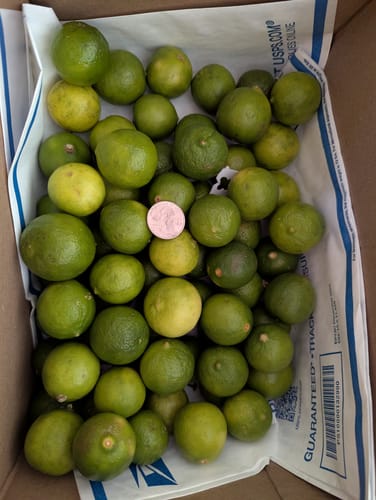 Customer photo review of Organic Key Limes 5 lbs