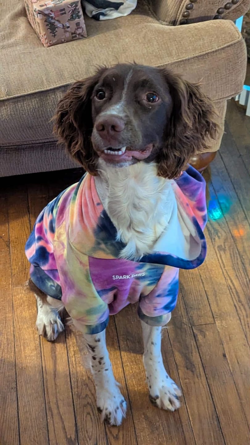 Customer photo review of Velvet Dog Hoodie - Berry Lemonade