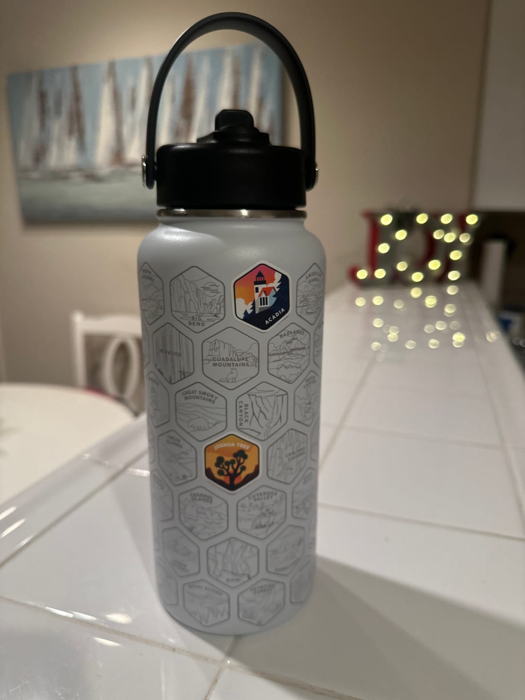 Customer photo review of Lets Wander™ National Parks Water Bottle + Stickers