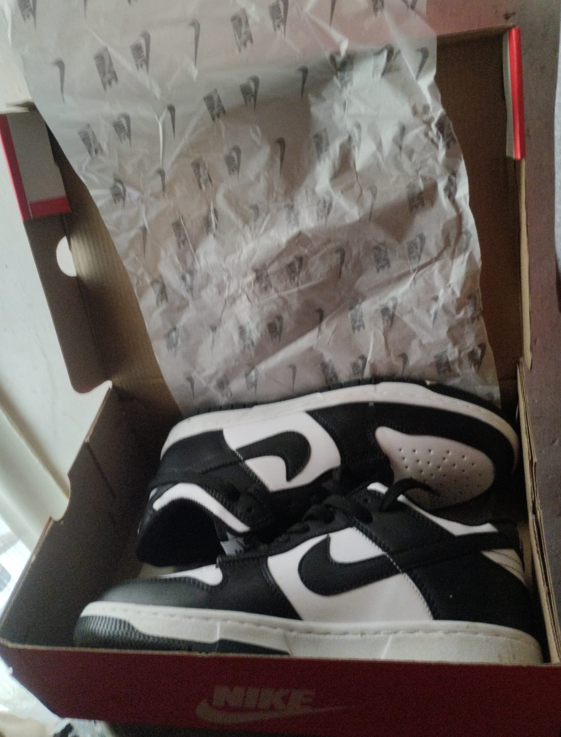 Customer photo review of Tenis Dunk Low Vaquita