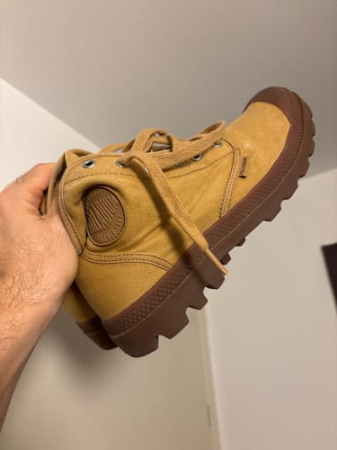 לקוח מחזיק נעל קנבס גבוהה מדגם Pampa בצבע חרדל עם סוליה חומה.