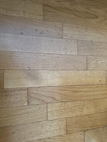 Customer photo review of ELEVATESHOES WHITE CASUAL