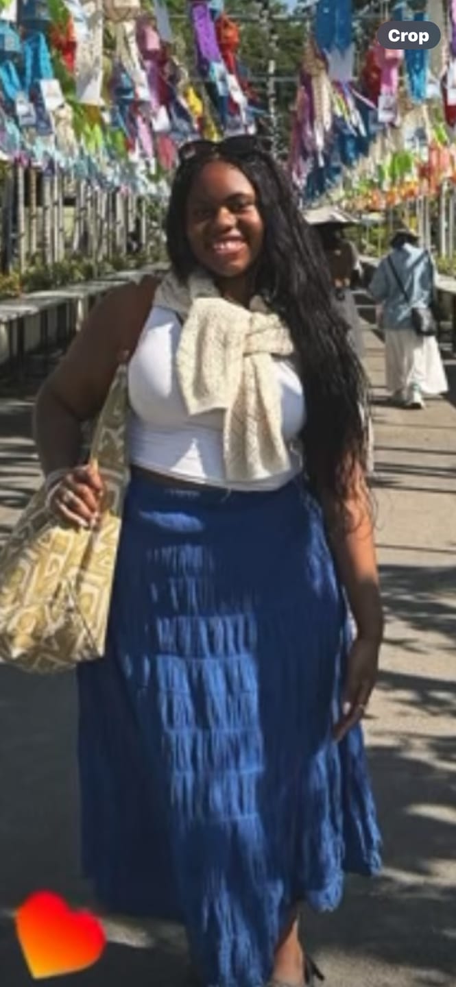 Customer photo review of Silky Straight Bulk Hair Extensions for Braiding