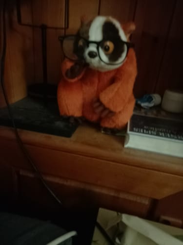 Customer photo review of Slow Loris Soft Stuffed Plush Toy