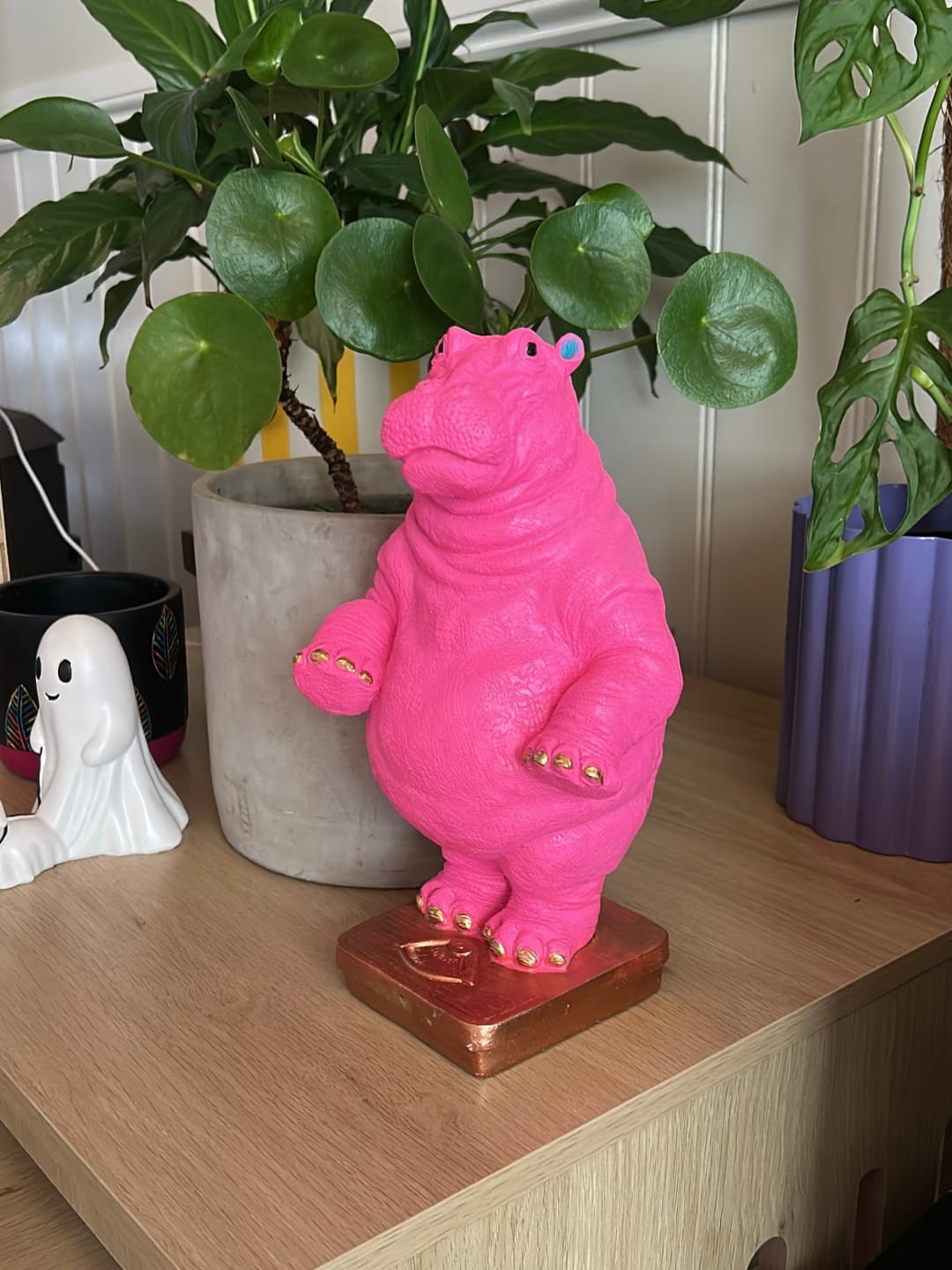 Customer photo review of Herb Hippo- Hot pink