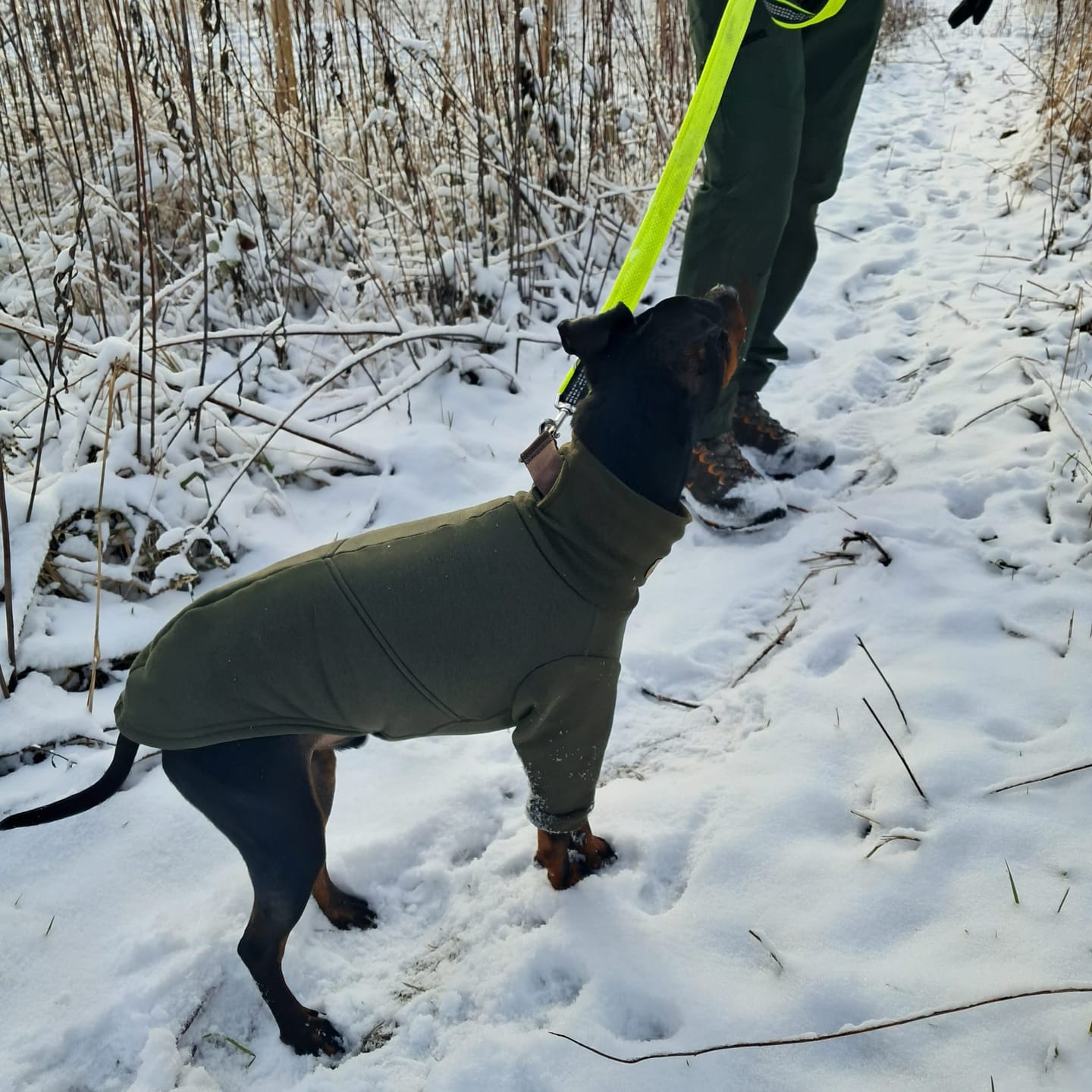 Customer photo review of Aspen Mini "Mountain Green"
