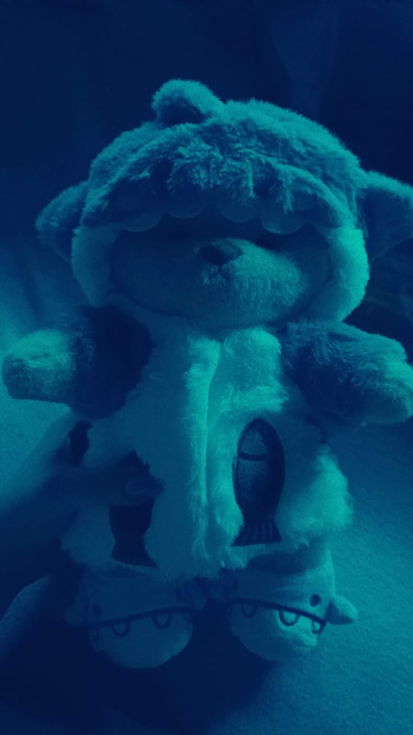 Customer photo review of Blue Shark
