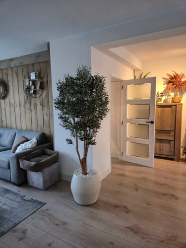 Customer photo review of Kunst Olijfboom 180cm Deluxe