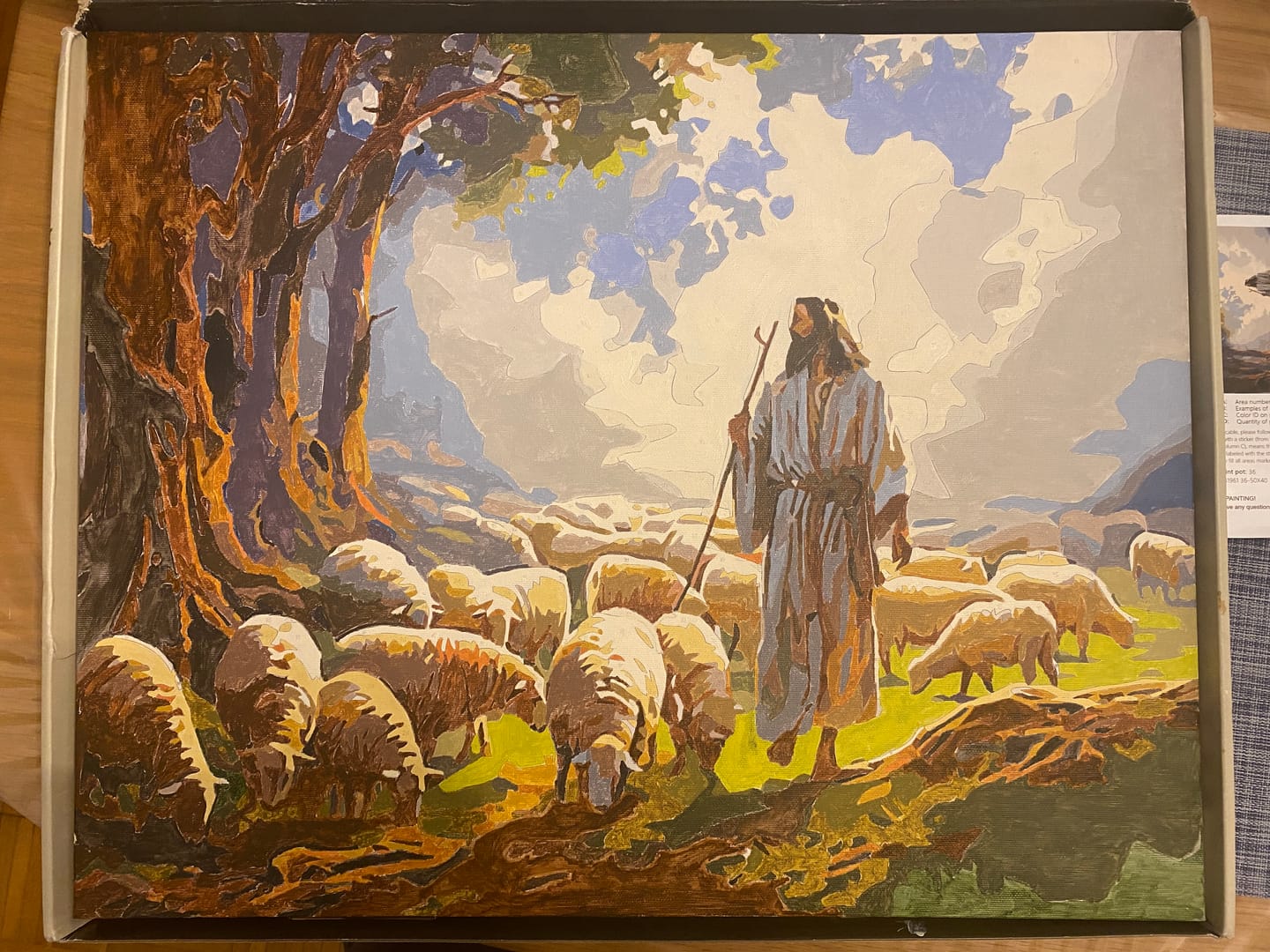 Customer photo review of Pasture Shepard