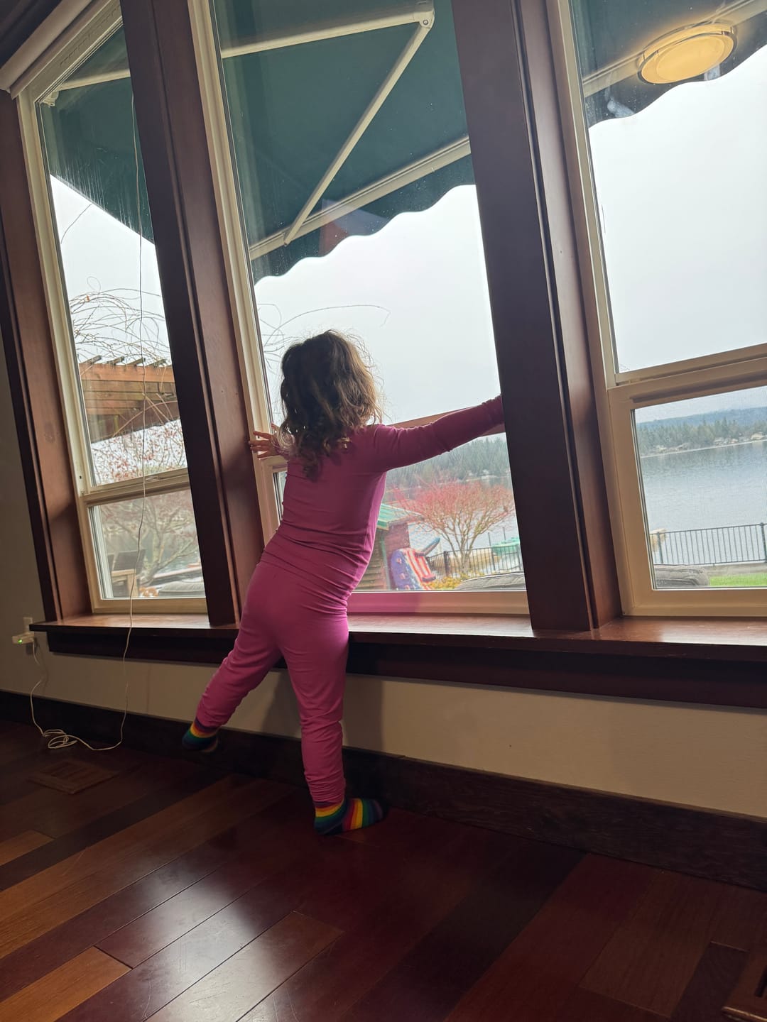 Customer photo review of ShipInsure Package Protection